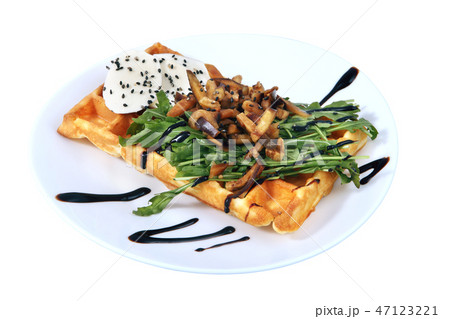 Belgian waffle with croutons, herbs and cheese Belgian waffle with croutons, herbs and cheese 47123221