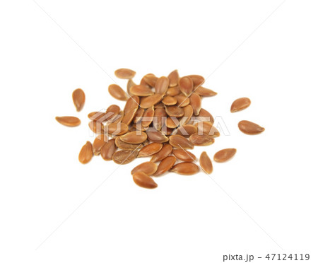 Sesame Linseed Isolated Sesame Linseed Isolated 47124119