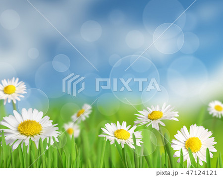 Spring background Spring background 47124121