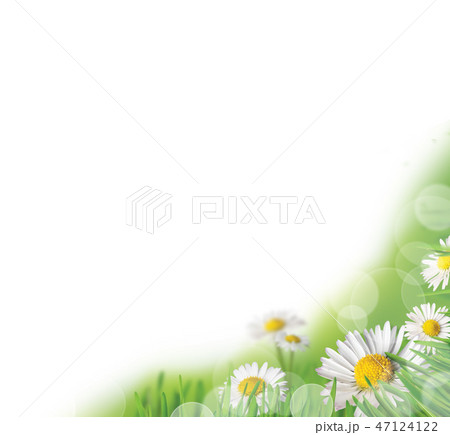 Spring Abstract 47124122