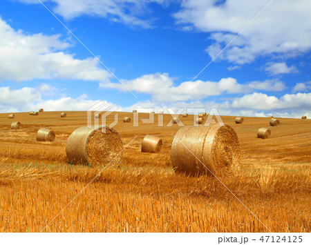 Straw Bales and Sky 47124125
