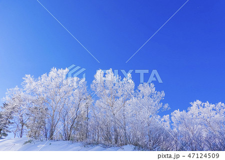 霧氷の森1 霧氷の森1 47124509