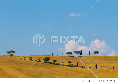 Tuscany hills landscape, Italy Tuscany hills landscape, Italy 47124954