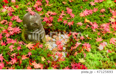 京都　圓光寺　十牛之庭のお地蔵様と紅葉 47125693