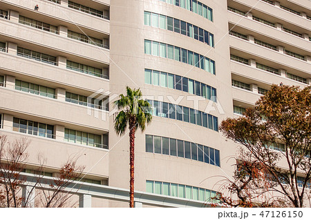 大学病院 47126150