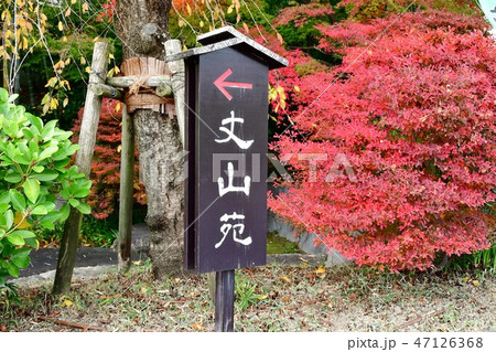 秋の丈山苑 詩泉閣 秋の丈山苑 詩泉閣 47126368