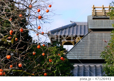 秋の丈山苑　詩泉閣 47126443