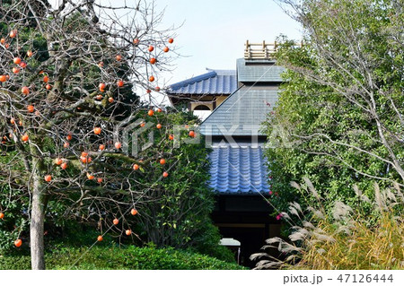 秋の丈山苑　詩泉閣 47126444