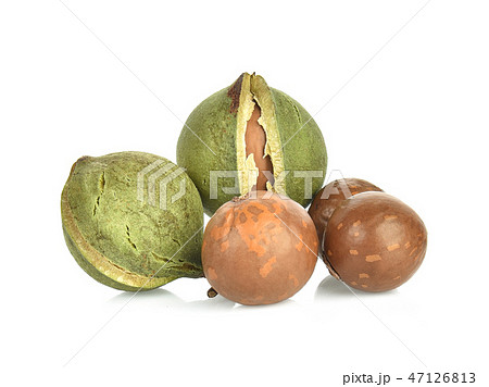 macadamia nuts on white background 47126813