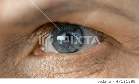 close up of senior woman eye close up of senior woman eye 47131599