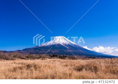 （静岡県）朝霧高原から眺める富士山 47132472
