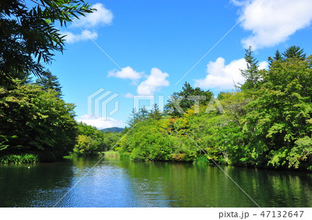 軽井沢の雲場池と青空 軽井沢の雲場池と青空 47132647