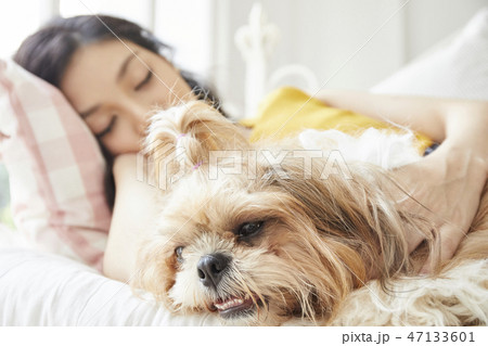 女性　ペット　ライフスタイル 47133601