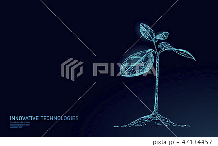 Plant sprout ecological abstract concept. 3D render seedling tree leaves. Save planet nature 47134457