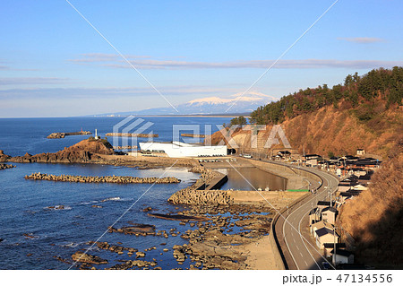 鶴岡市立加茂水族館 47134556