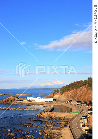 鶴岡市立加茂水族館 47134558