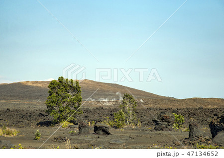 PU'U HULUHULU,Volcano,Big Island Hawaii 47134652