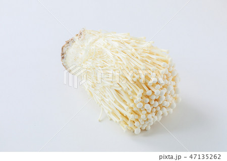 【切抜パス付】えのき茸 47135262
