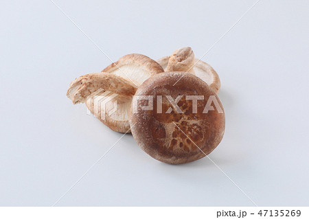 【切抜パス付】しいたけ 【切抜パス付】しいたけ 47135269