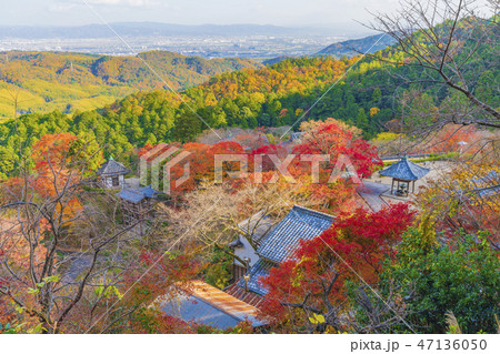 京都　善峯寺　境内風景 47136050