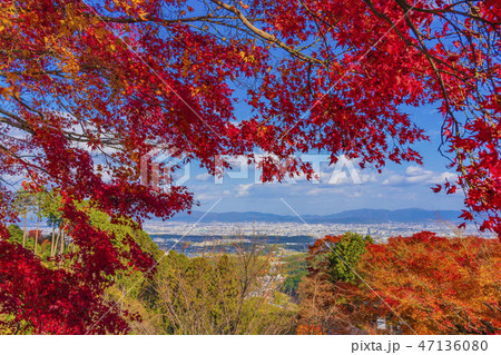 京都　善峯寺　京都市内遠望 47136080