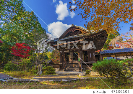 京都 十輪寺 京都 十輪寺 47136102