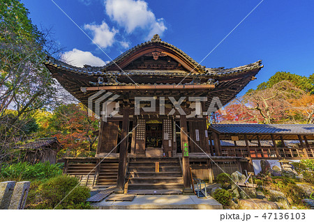 京都　十輪寺　境内風景 47136103