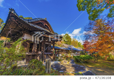 京都　十輪寺　境内風景 47136108