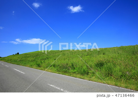 長野県　霧ヶ峰高原　ビーナスライン 47136466