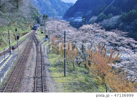 大歩危駅から南へ 大歩危駅から南へ 47136999
