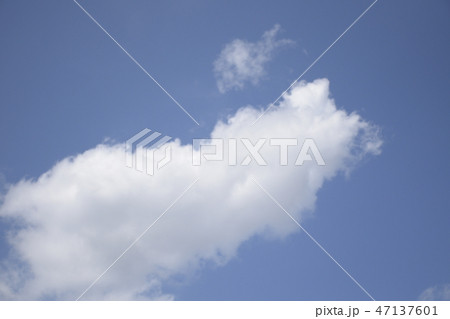 飛ぶ猫ちゃん 浮雲ポカリ 猫型の雲 青空に浮かぶ の写真素材 [47137601
