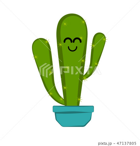 Happy cactus in a flower pot 47137805