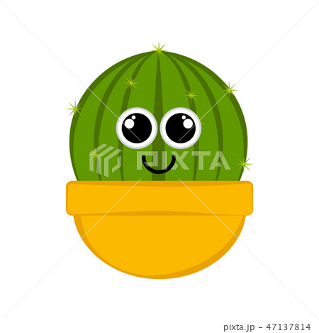 Happy cactus in a flower pot 47137814