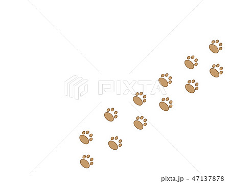 犬 猫 足跡 余白 シルエット フレーム 背景のイラスト素材