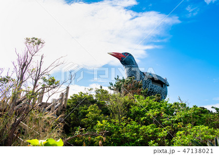 沖縄 ヤンバルクイナ展望台 47138021