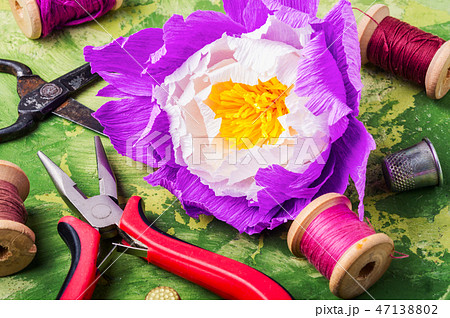 Colourful handmade paper flowers 47138802