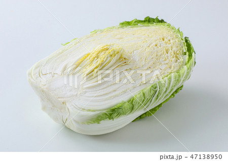 【切抜パス付】白菜 【切抜パス付】白菜 47138950