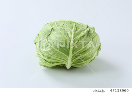 【切抜パス付】キャベツ 47138960
