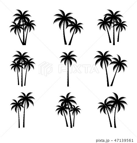 Palm Trees Silhouette Set Stock Illustration