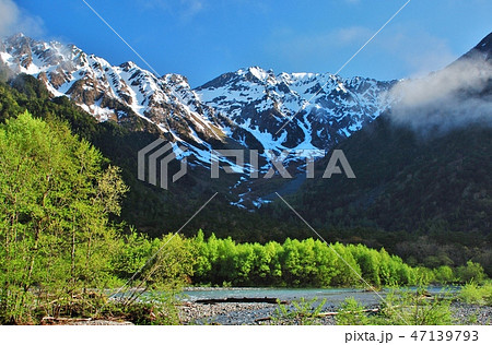 上高地 / 長野県 ~ 新緑の季節 上高地 / 長野県 ~ 新緑の季節 47139793
