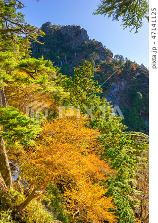 百名山「八経ヶ岳」の紅葉!中尾からイブキ嵓を見上げる!(奈良県吉野郡)※作品コメント欄に撮影位置 百名山「八経ヶ岳」の紅葉!中尾からイブキ嵓を見上げる!(奈良県吉野郡)※作品コメント欄に撮影位置 47141125