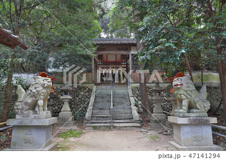 【春日神社】 大阪府富田林市大字彼方 【春日神社】 大阪府富田林市大字彼方 47141294
