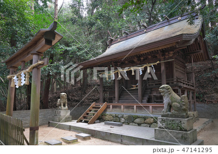 【春日神社】 大阪府富田林市大字彼方 【春日神社】 大阪府富田林市大字彼方 47141295