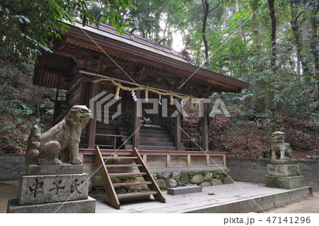 【春日神社】 大阪府富田林市大字彼方 【春日神社】 大阪府富田林市大字彼方 47141296