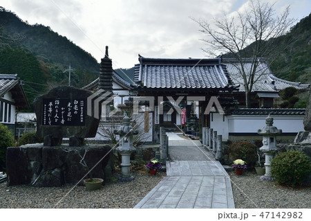兵庫県丹波市の椿で有名の白毫寺 47142982