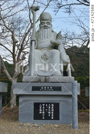 兵庫県丹波市の椿で有名の白毫寺 兵庫県丹波市の椿で有名の白毫寺 47142988