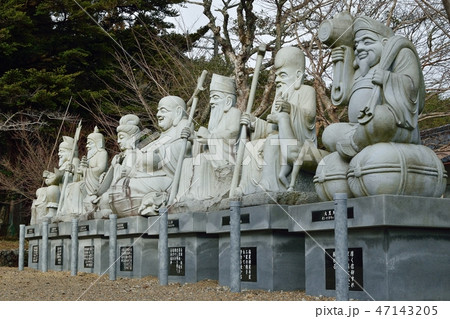 兵庫県市島町の椿が有名な白毫寺 47143205