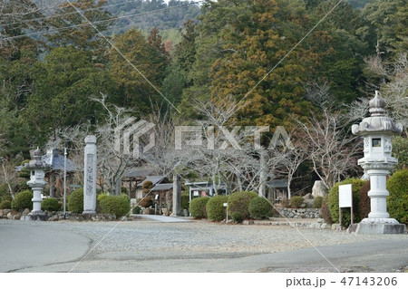 兵庫県市島町の椿が有名な白毫寺 47143206