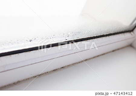 mold on a foggy plastic window of white color. Close-up 47143412