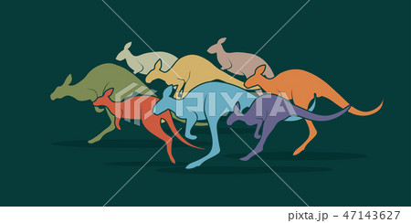 Group of kangaroo jumping graphic vector Group of kangaroo jumping graphic vector 47143627